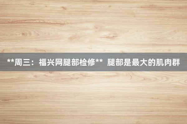 **周三:福兴网腿部检修** 腿部是最大的肌肉群